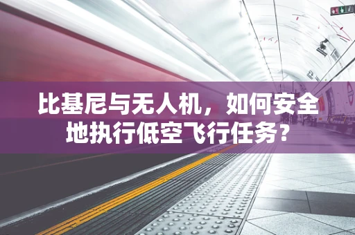 比基尼与无人机，如何安全地执行低空飞行任务？