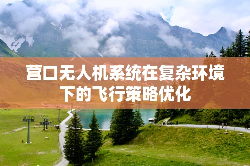 营口无人机系统在复杂环境下的飞行策略优化