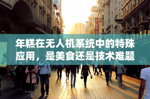 年糕在无人机系统中的特殊应用，是美食还是技术难题？