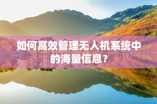 如何高效管理无人机系统中的海量信息？
