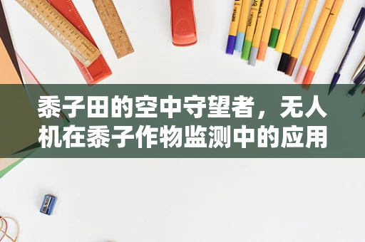 黍子田的空中守望者，无人机在黍子作物监测中的应用挑战