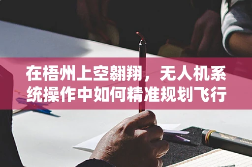 在梧州上空翱翔，无人机系统操作中如何精准规划飞行航线？
