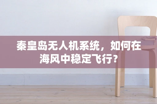 秦皇岛无人机系统，如何在海风中稳定飞行？