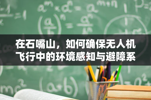 在石嘴山，如何确保无人机飞行中的环境感知与避障系统高效运行？