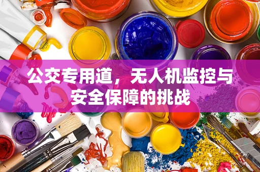公交专用道，无人机监控与安全保障的挑战