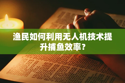 渔民如何利用无人机技术提升捕鱼效率？