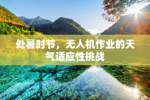 处暑时节，无人机作业的天气适应性挑战