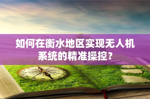 如何在衡水地区实现无人机系统的精准操控？