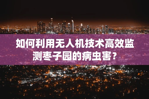 如何利用无人机技术高效监测枣子园的病虫害？