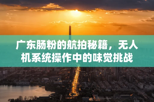 广东肠粉的航拍秘籍，无人机系统操作中的味觉挑战