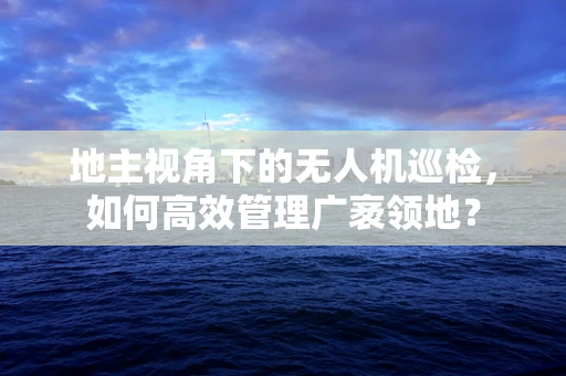 地主视角下的无人机巡检，如何高效管理广袤领地？