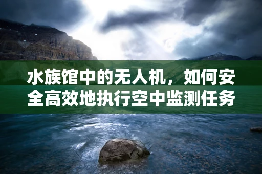 水族馆中的无人机，如何安全高效地执行空中监测任务？