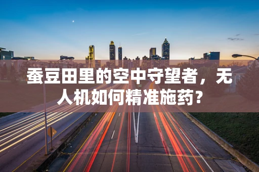 蚕豆田里的空中守望者，无人机如何精准施药？