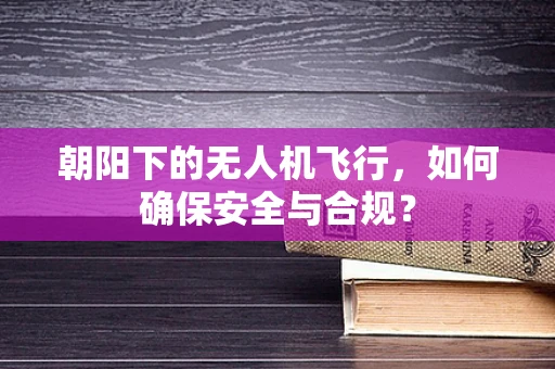朝阳下的无人机飞行，如何确保安全与合规？