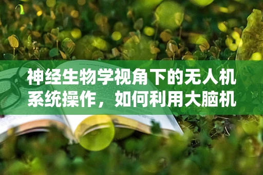 神经生物学视角下的无人机系统操作，如何利用大脑机制优化飞行控制？