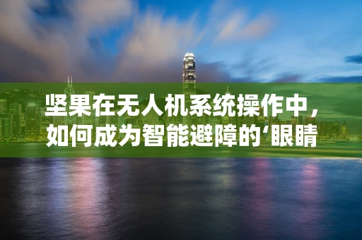 坚果在无人机系统操作中，如何成为智能避障的‘眼睛’？