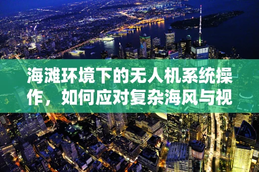 海滩环境下的无人机系统操作，如何应对复杂海风与视线干扰？