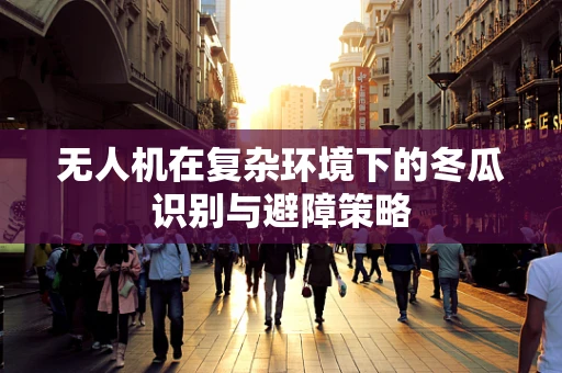 无人机在复杂环境下的冬瓜识别与避障策略
