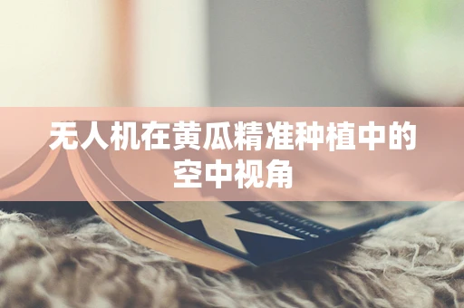 无人机在黄瓜精准种植中的空中视角
