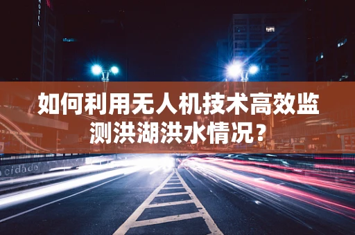 如何利用无人机技术高效监测洪湖洪水情况？