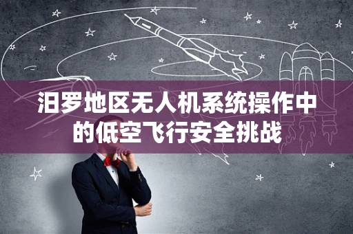 汨罗地区无人机系统操作中的低空飞行安全挑战