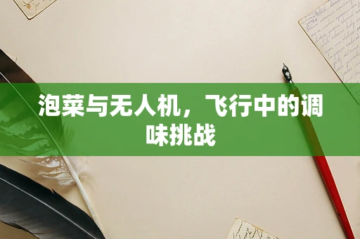 泡菜与无人机，飞行中的调味挑战