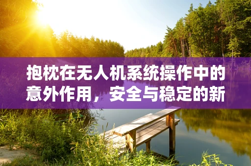 抱枕在无人机系统操作中的意外作用，安全与稳定的新思路？