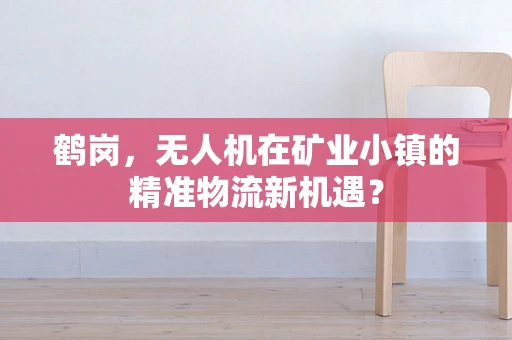 鹤岗，无人机在矿业小镇的精准物流新机遇？