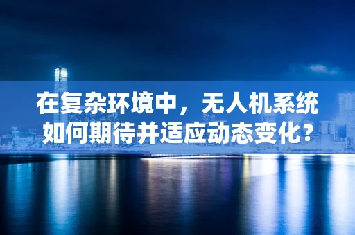在复杂环境中，无人机系统如何期待并适应动态变化？