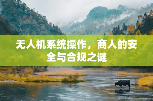 无人机系统操作，商人的安全与合规之谜