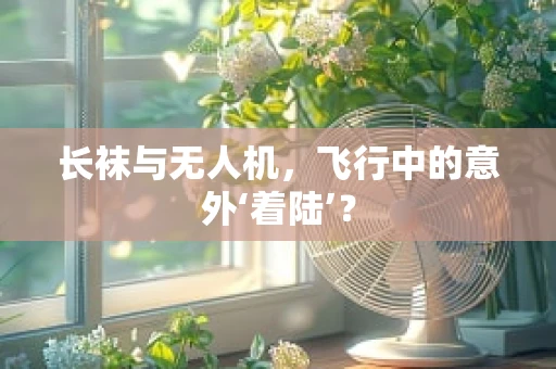 长袜与无人机，飞行中的意外‘着陆’？