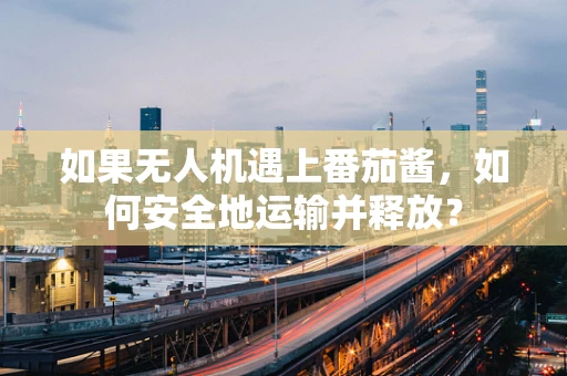 如果无人机遇上番茄酱，如何安全地运输并释放？