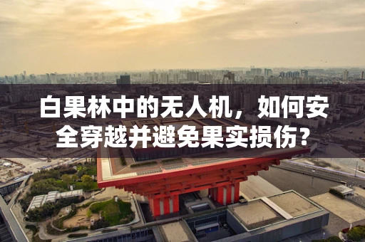 白果林中的无人机，如何安全穿越并避免果实损伤？