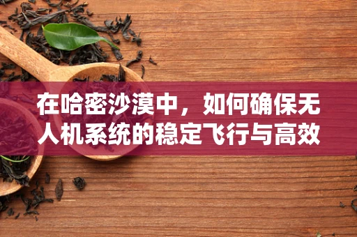 在哈密沙漠中，如何确保无人机系统的稳定飞行与高效导航？