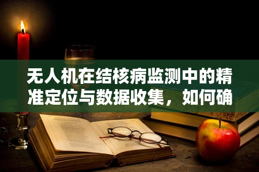无人机在结核病监测中的精准定位与数据收集，如何确保高效且无遗漏？