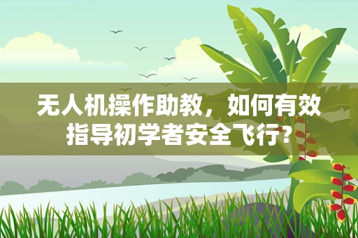 无人机操作助教，如何有效指导初学者安全飞行？
