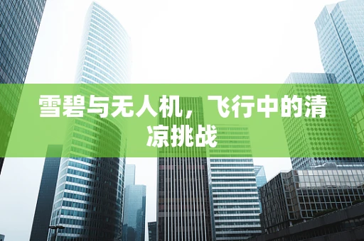 雪碧与无人机，飞行中的清凉挑战