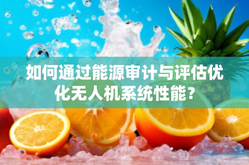 如何通过能源审计与评估优化无人机系统性能？