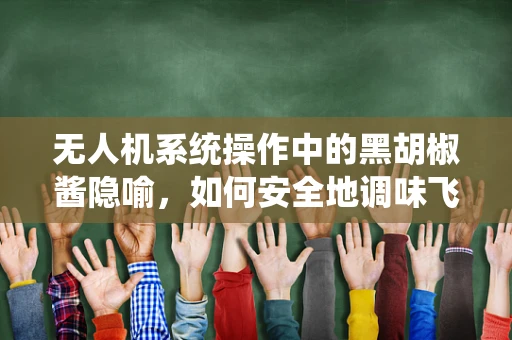 无人机系统操作中的黑胡椒酱隐喻，如何安全地调味飞行任务？