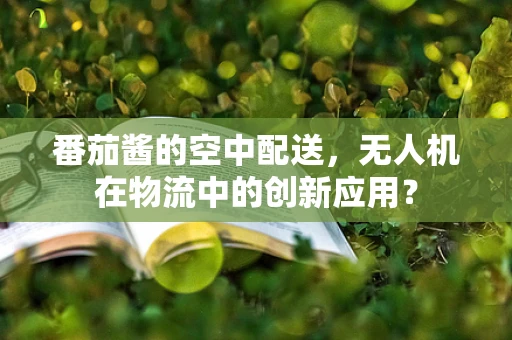 番茄酱的空中配送，无人机在物流中的创新应用？