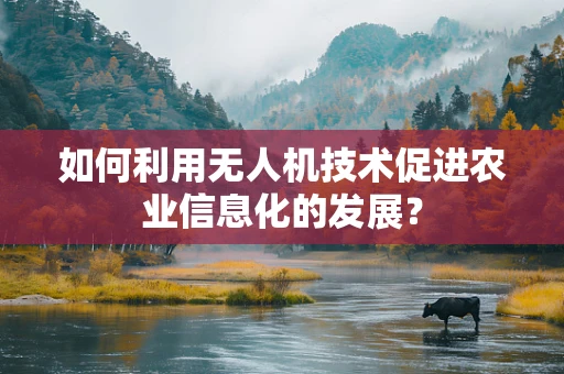 如何利用无人机技术促进农业信息化的发展？