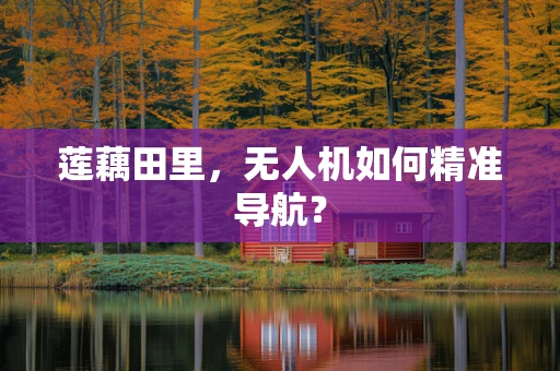 莲藕田里，无人机如何精准导航？