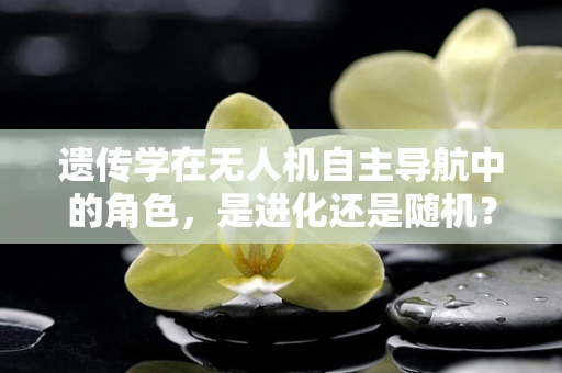 遗传学在无人机自主导航中的角色，是进化还是随机？