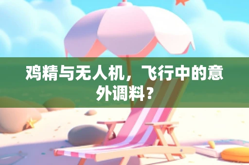 鸡精与无人机，飞行中的意外调料？