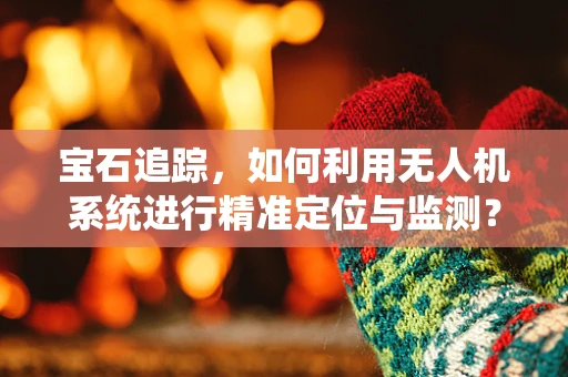 宝石追踪，如何利用无人机系统进行精准定位与监测？