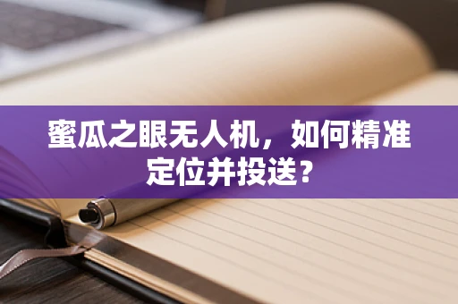 蜜瓜之眼无人机，如何精准定位并投送？