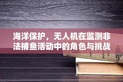 海洋保护，无人机在监测非法捕鱼活动中的角色与挑战