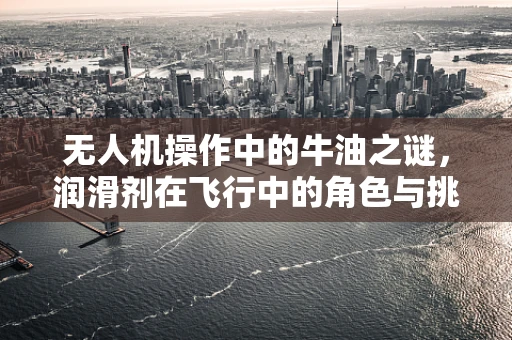 无人机操作中的牛油之谜，润滑剂在飞行中的角色与挑战