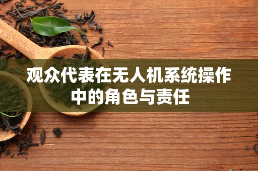 观众代表在无人机系统操作中的角色与责任