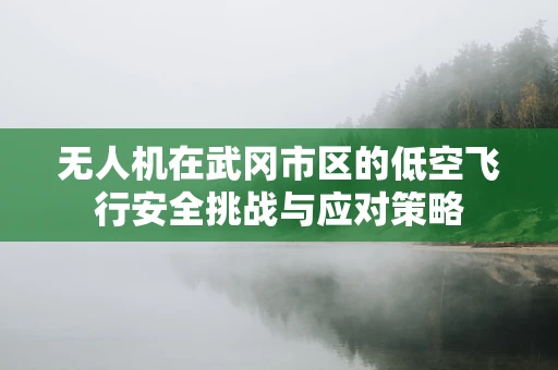 无人机在武冈市区的低空飞行安全挑战与应对策略